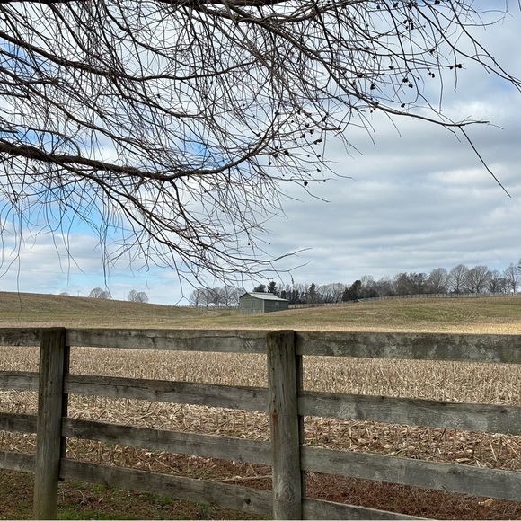 Meet your Posher, Lindsey **** Reasonable offers are accepted **** - Picture 2 of 5